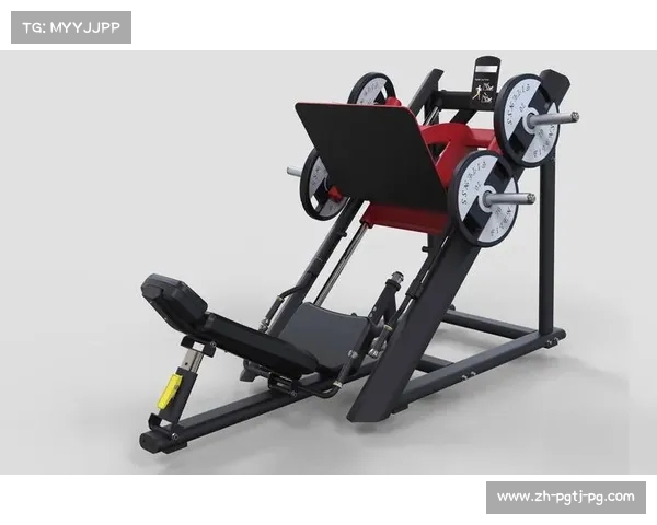 弯举健身器材种类及力量训练效果讲解